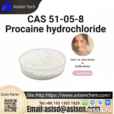 Procaine hydrochloride CAS 51-05-8